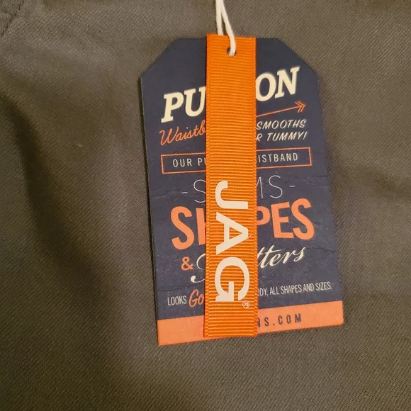 Jag Jeans Women's 8P pull on shorts. Eucalyptus color. No belt NWT. - Picture 2 of 9